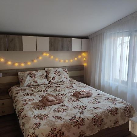 Zen Studio Slatina Slatina  Zewnętrze zdjęcie